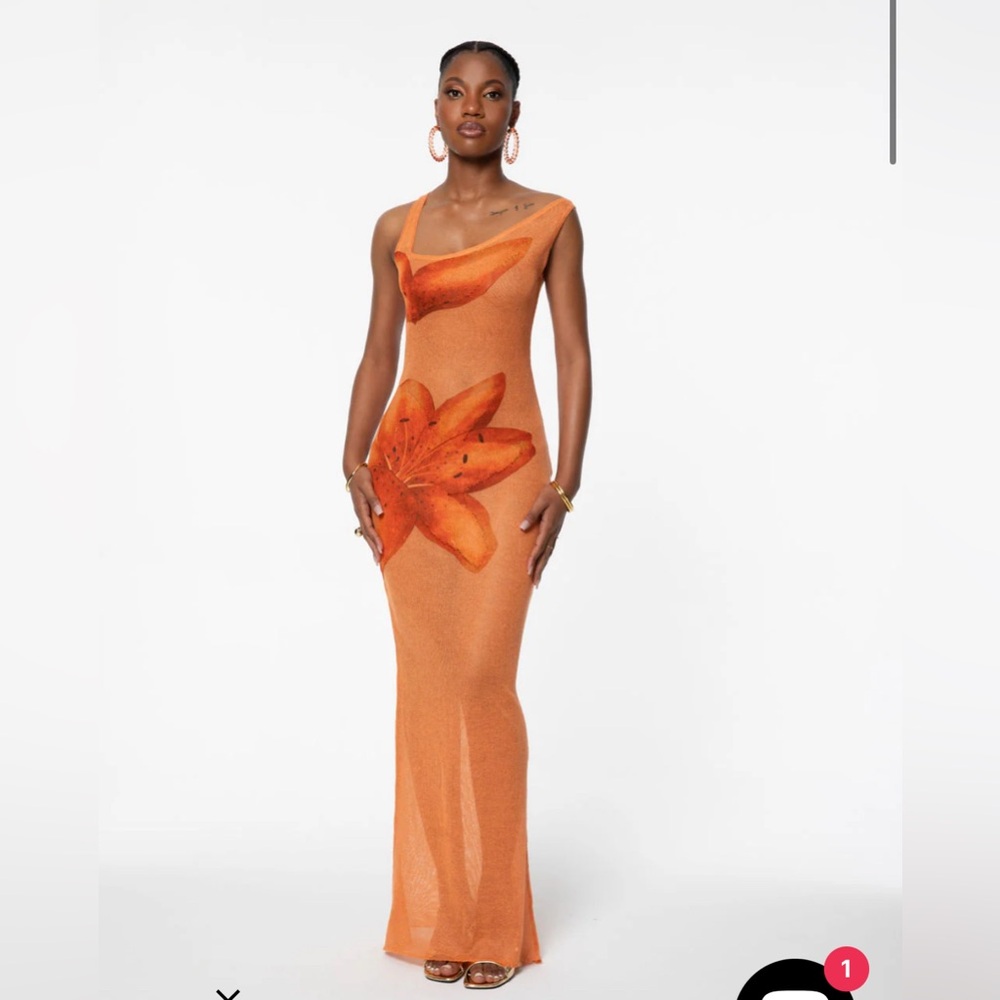 Hanifa FLORA SHEER MAXI. NWT.